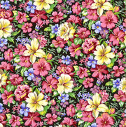 Florence — Royal Winton pattern
